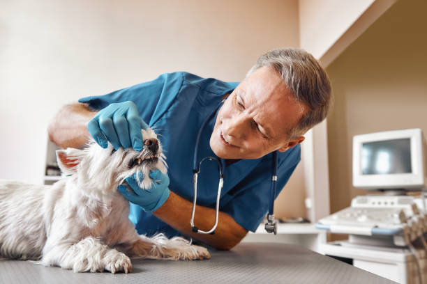 Best Emergency Tooth Extraction in Henryville, IN